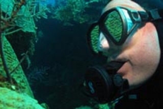  Immersioni nel mondo 